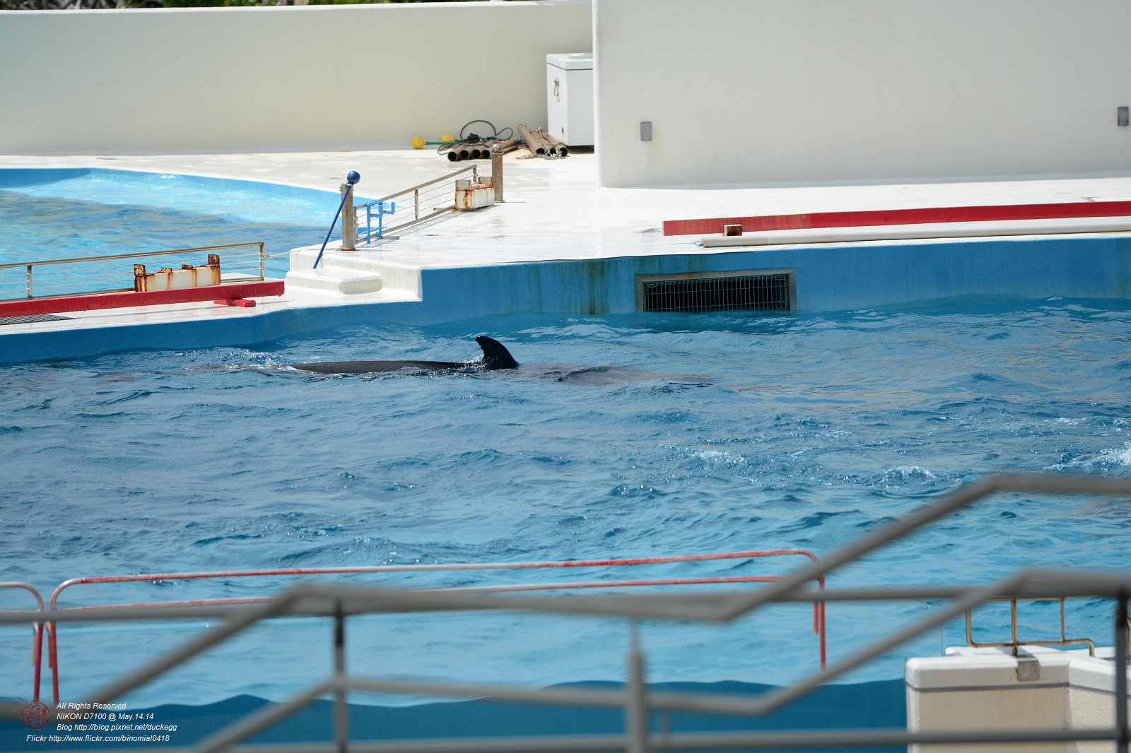 DSC_2964.jpg